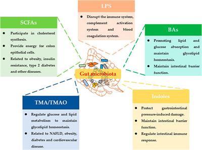 A Review on the Health Effects of Pesticides Based on Host Gut Microbiome and Metabolomics